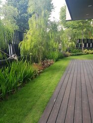 Watten Residences (D11), Semi-Detached #457027931